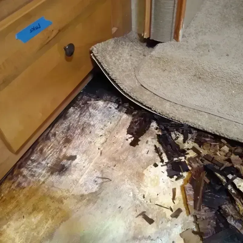 Wood Floor Water Damage in Glassboro, NJ